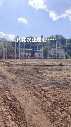 鼎尚銘 專注網絡技術開發，賦能數字化未來